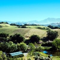 GC Lurton Vineyards - Acaibo